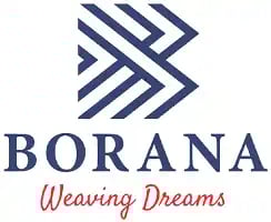 Borana Weaves Share Price Target 2025, 2026, 2030, 2040, 2050 2 Borana Weaves Share Price Target Tomorrow