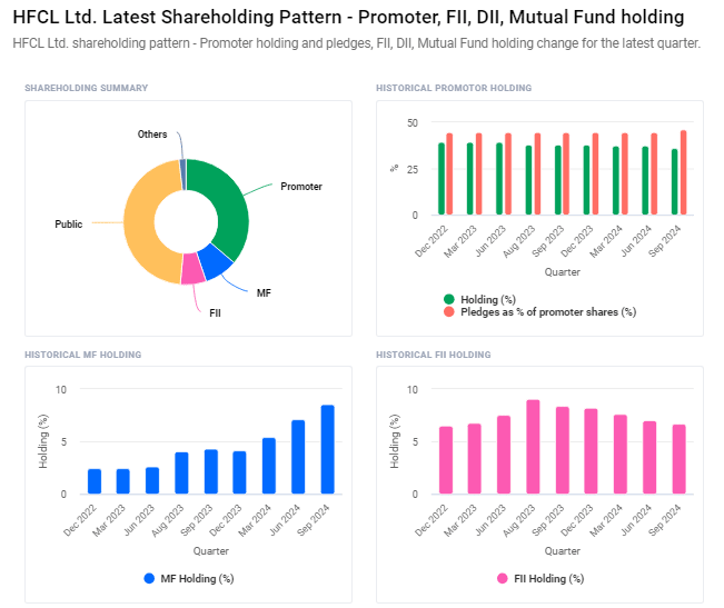 HFCL Ltd. Share Holding Patterns FII DII