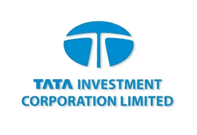 Tata Investment share