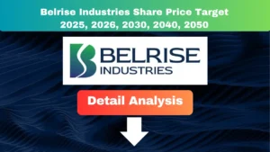 Belrise Industries Share Price Target 2025 to 2050