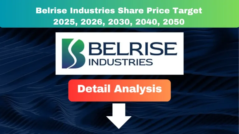 Belrise Industries Share Price Target 2025 to 2050